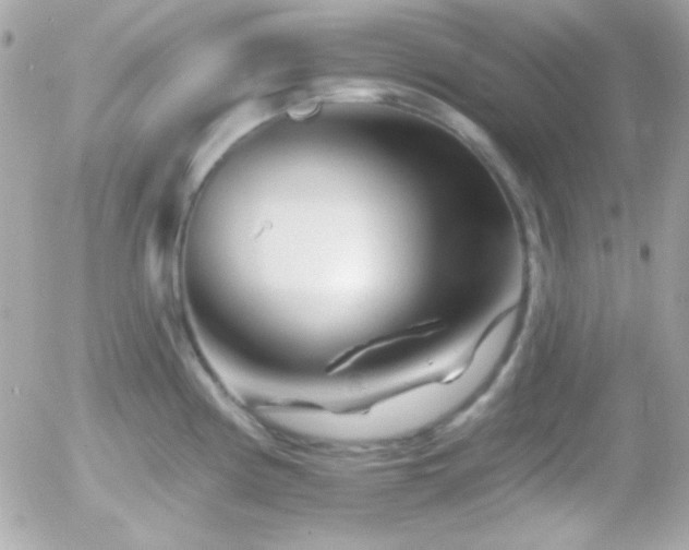 X0000055971194200508191159