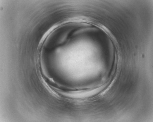 X0000055971196200508191159