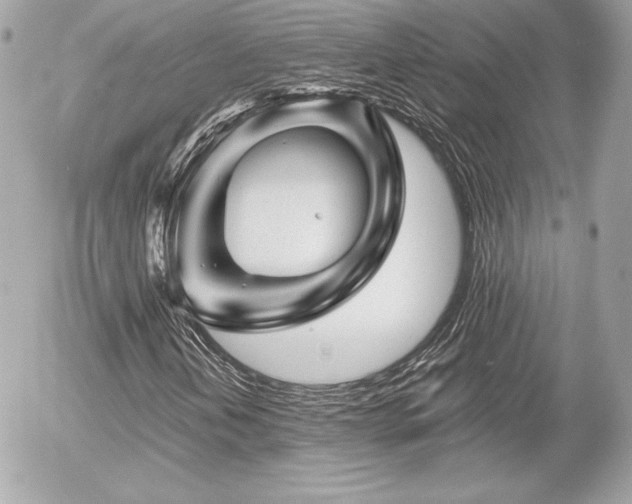 X0000055971202200508191159