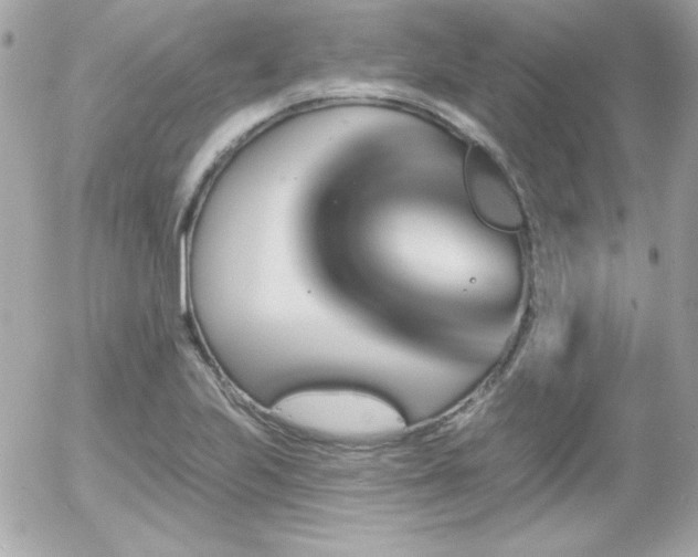 X0000055971223200508191159
