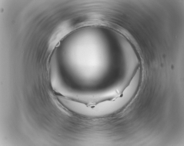 X0000055971242200508191159