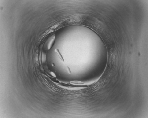 X0000055971250200508191158