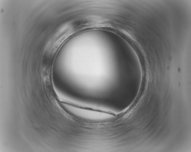 X0000055971273200508191158