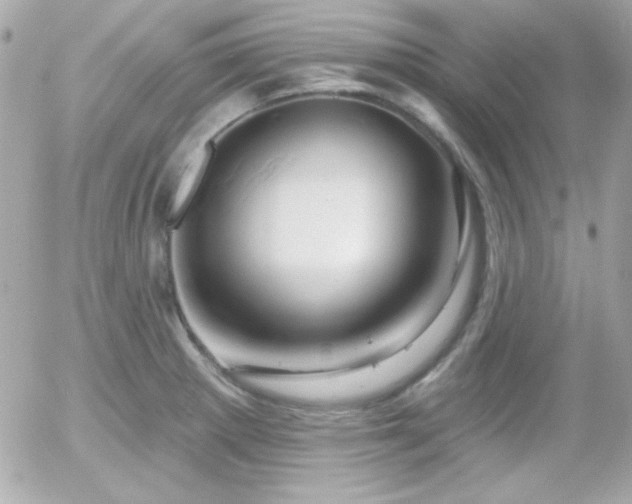 X0000055971281200508191158