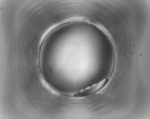 X0000055971296200508191158