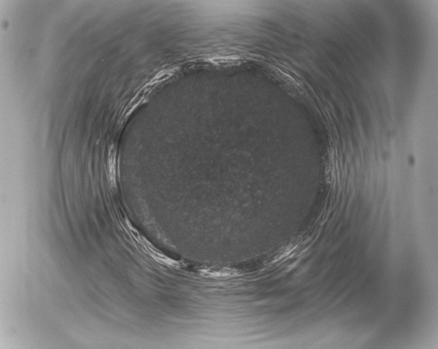 X0000055971298200508191157