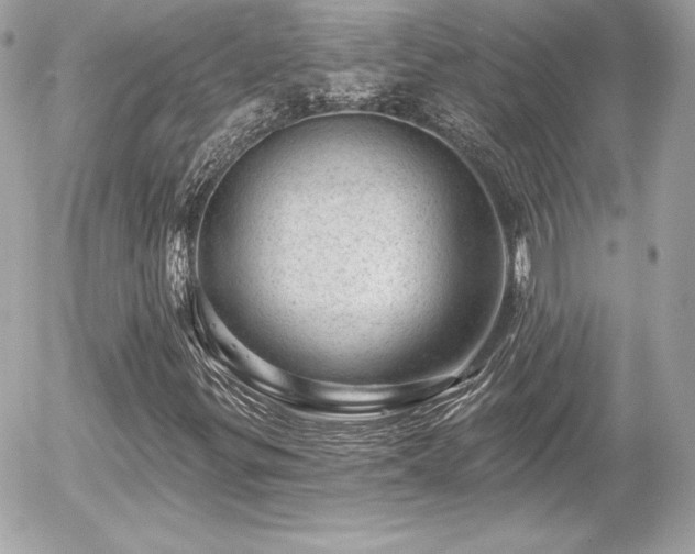 X0000055971299200508191157