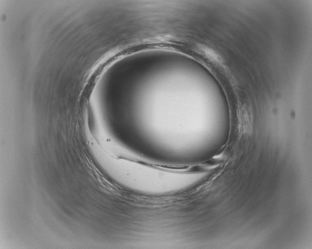 X0000055971308200508191157