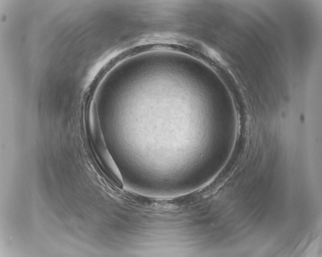 X0000055971312200508191157