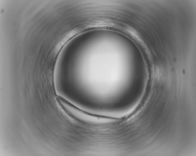 X0000055971329200508191157