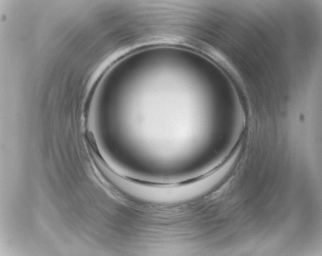 X0000055971332200508191157