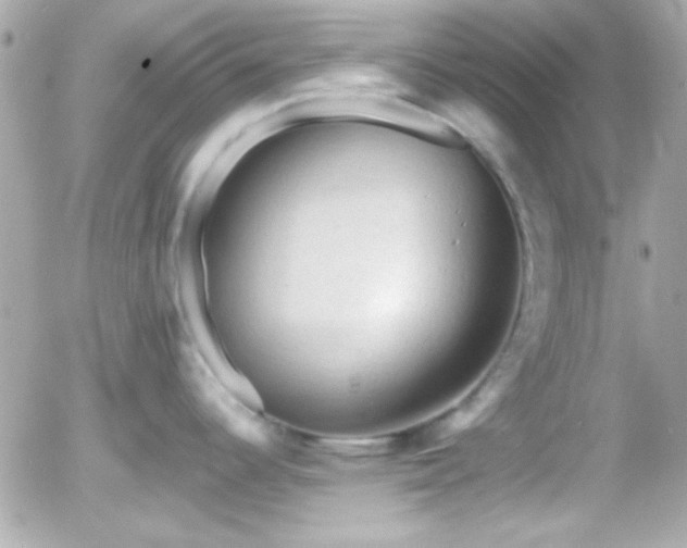 X0000055971344200508191158