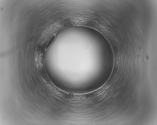 X0000055971346200508191157