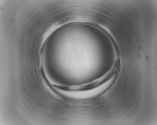 X0000055971371200508191156