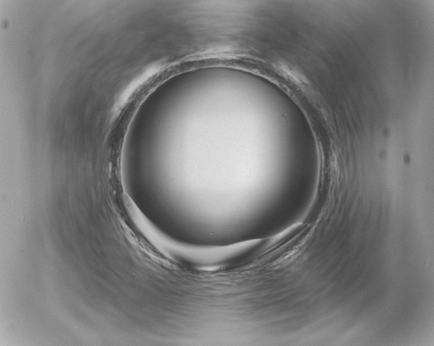 X0000055971406200508191155