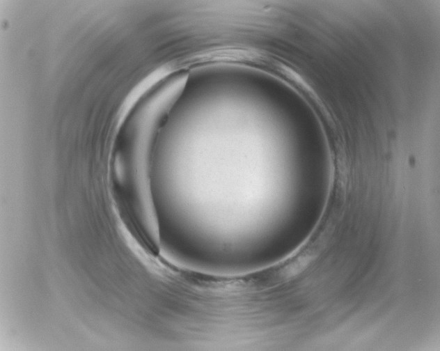 X0000055971426200508191156