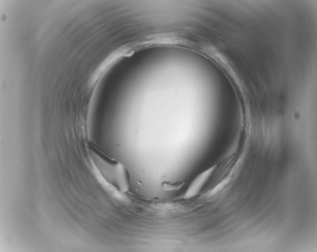 X0000055971433200508191156