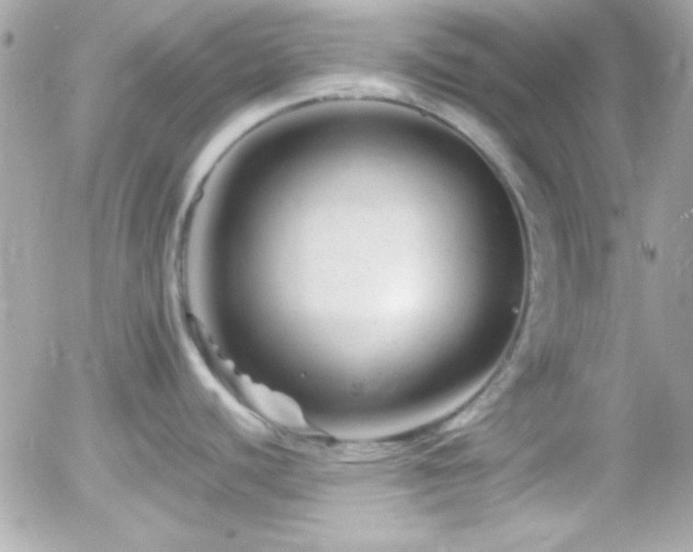 X0000055971440200508191156