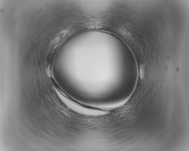 X0000055971444200508191155