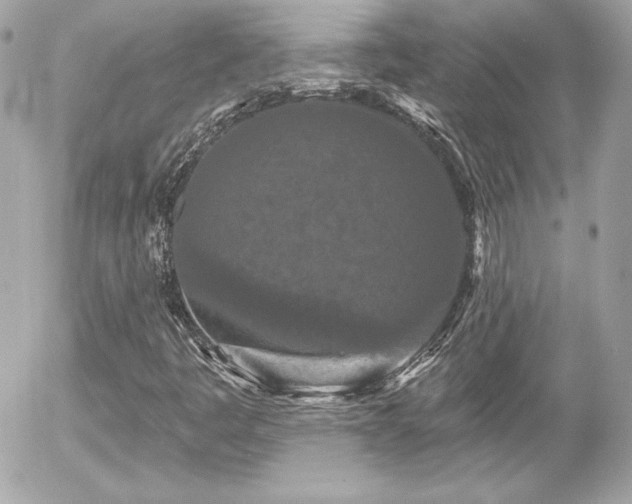 X0000055971445200508191155