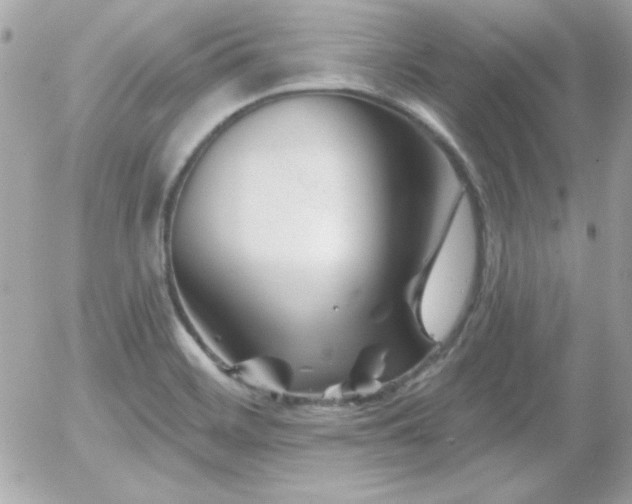 X0000055971468200508191155