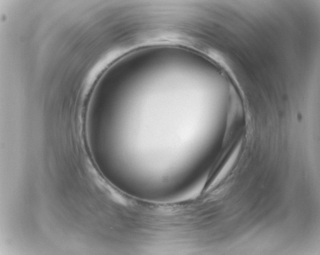 X0000055971480200508191155
