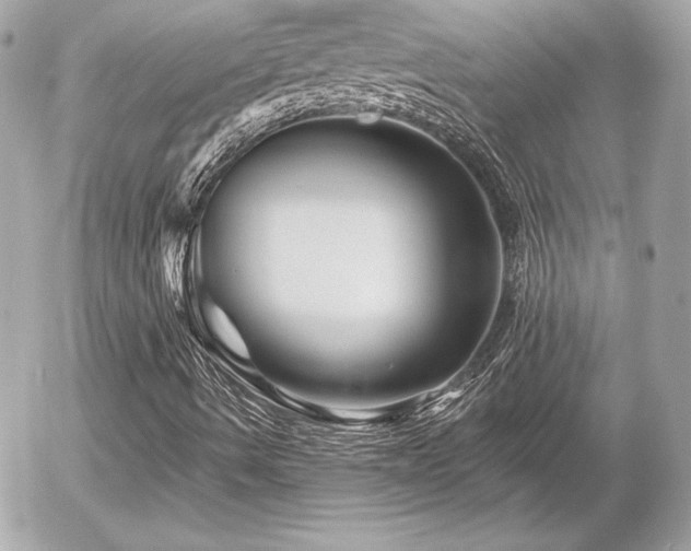 X0000055971490200508191154
