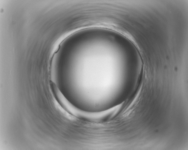X0000055971532200508191154