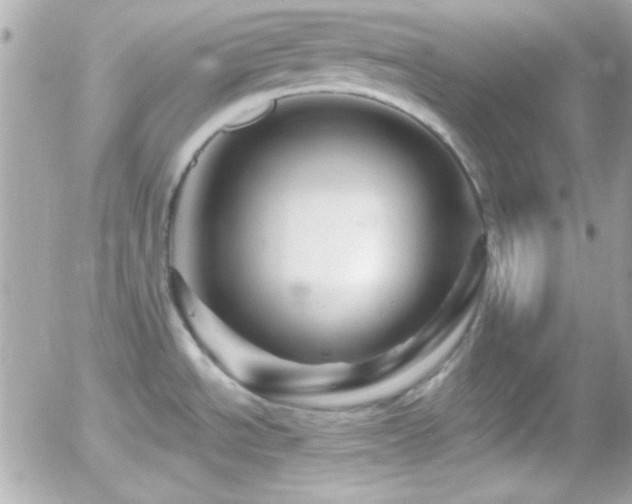 X0000055971534200508191154