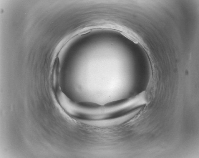 X0000055971536200508191154