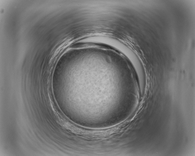 X0000055970001200508221147