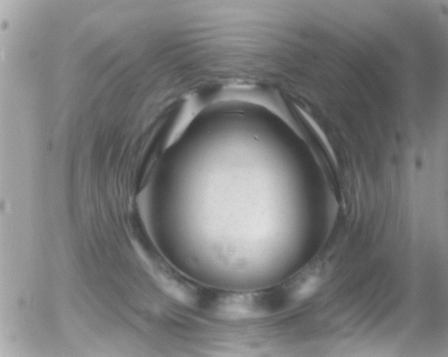 X0000055970084200508221146