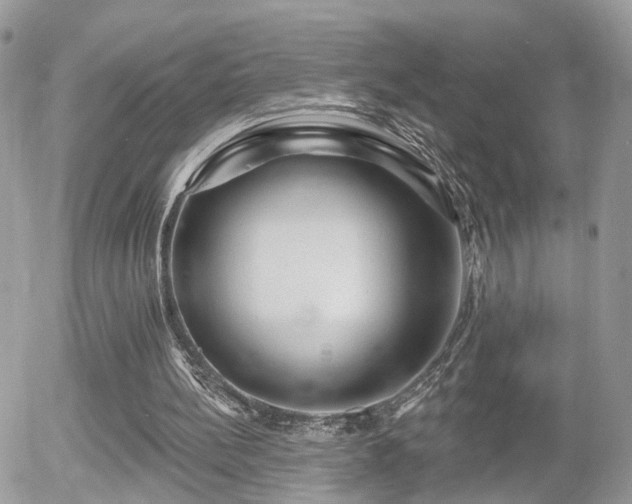 X0000055970148200508221144