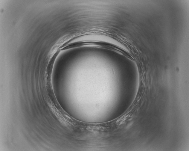X0000055970242200508221142