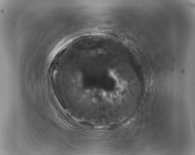 X0000055970295200508221142