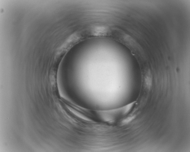 X0000055970620200508221137