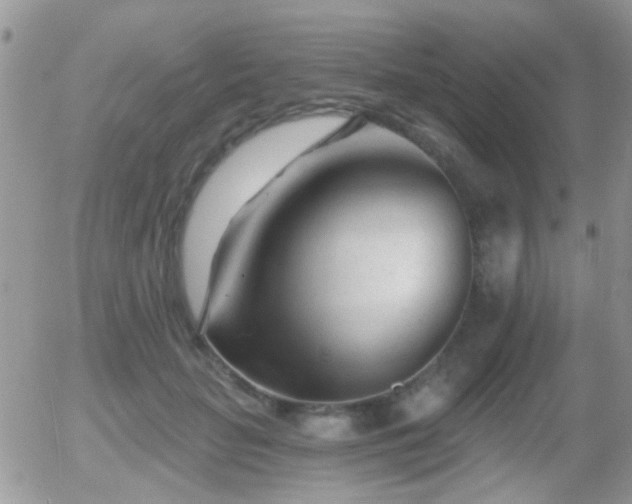 X0000055970653200508221136