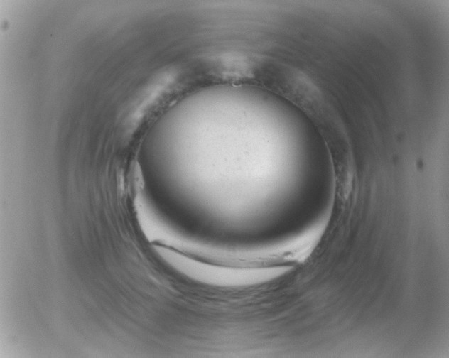 X0000055970704200508221135