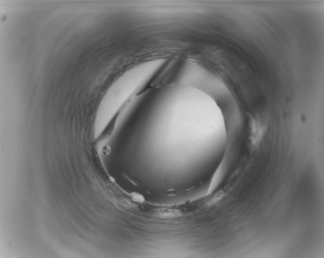 X0000055970750200508221135