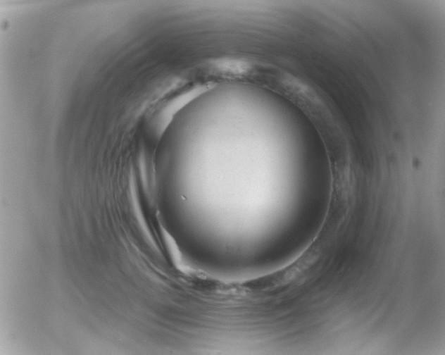 X0000055970752200508221135