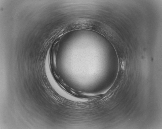 X0000055970771200508221134