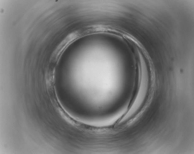 X0000055970801200508221134