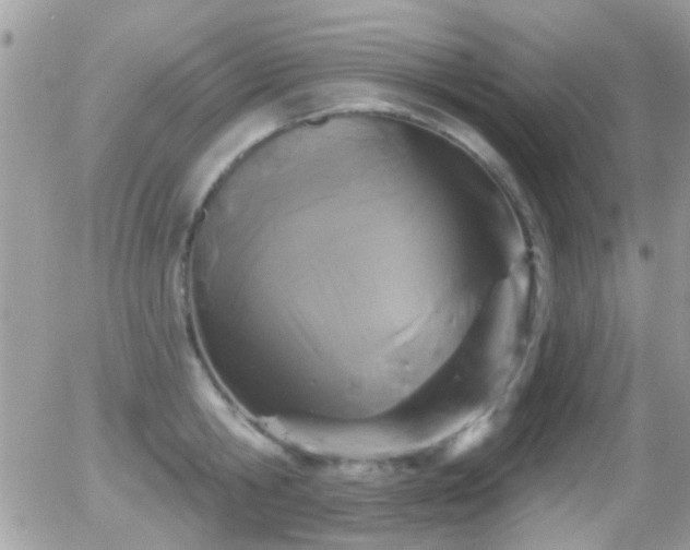 X0000055970806200508221133