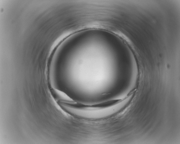 X0000055970902200508221132