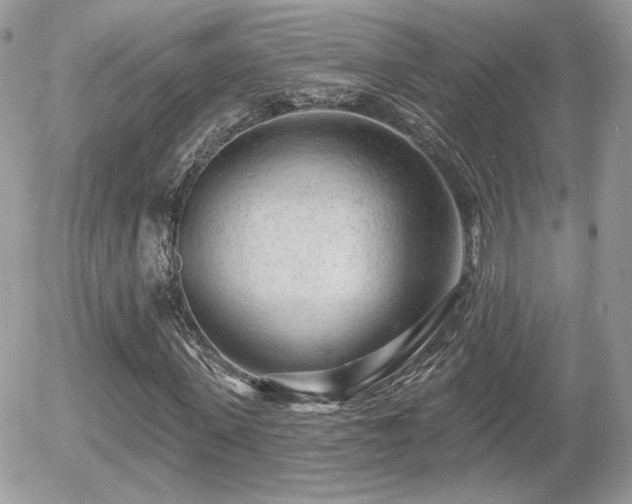 X0000055970915200508221131
