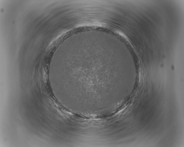 X0000055971064200508221129