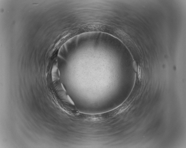 X0000055971107200508221128