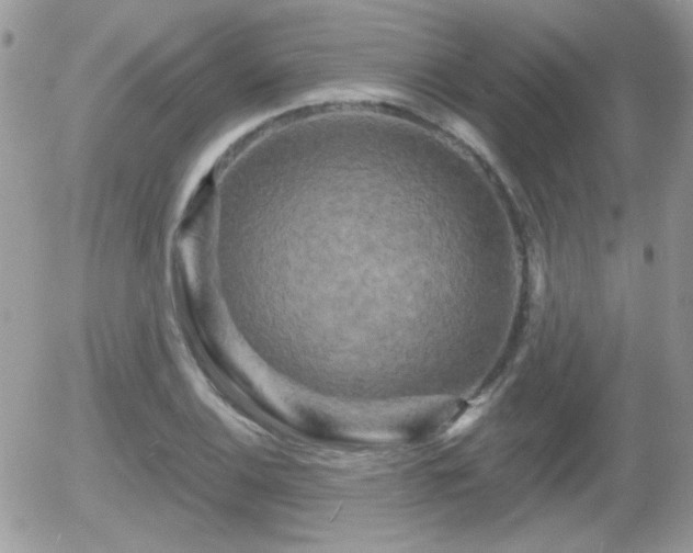X0000055971124200508221128