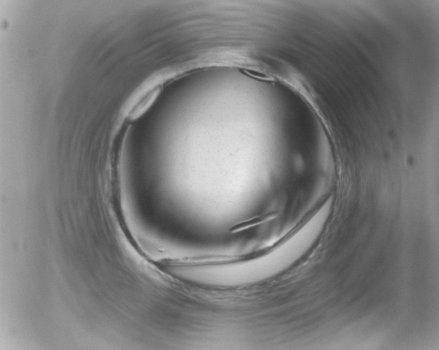 X0000055971147200508221128