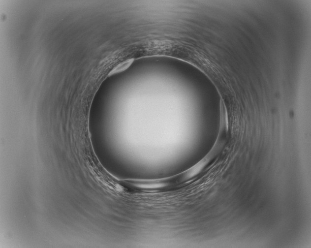 X0000055971153200508221128
